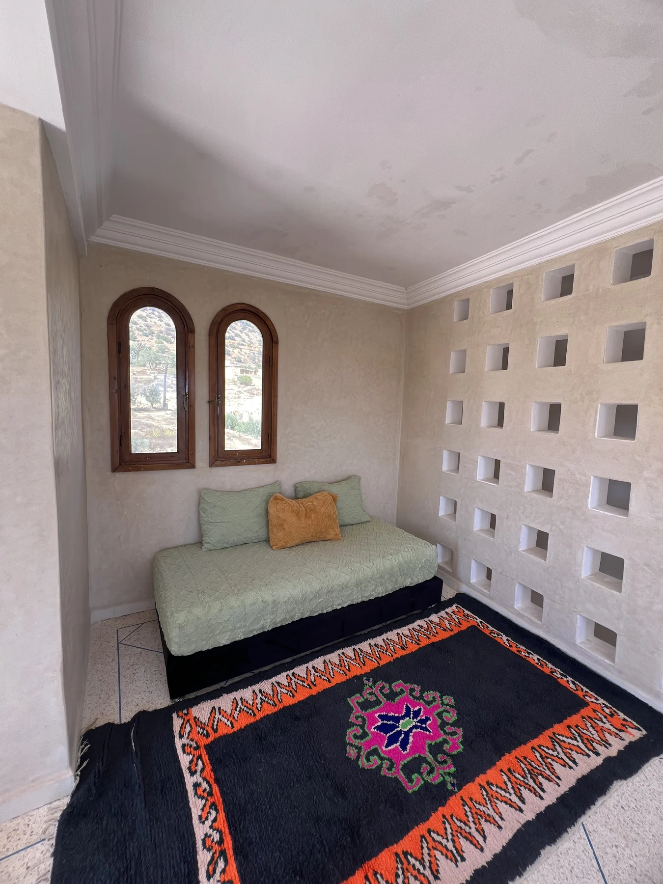 Village room with green sofa and patterned rug